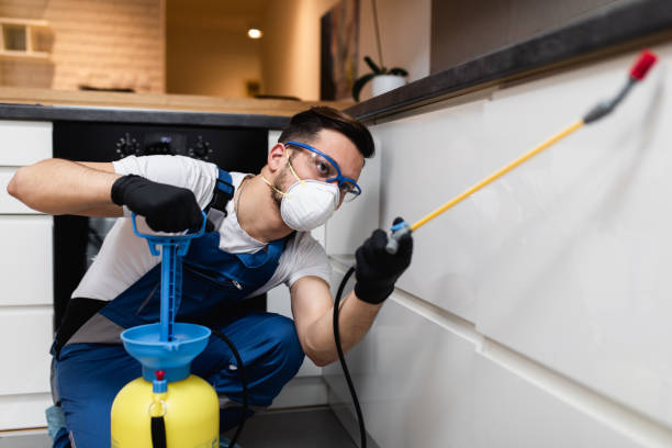Best Emergency Pest Control  in Belcourt, ND
