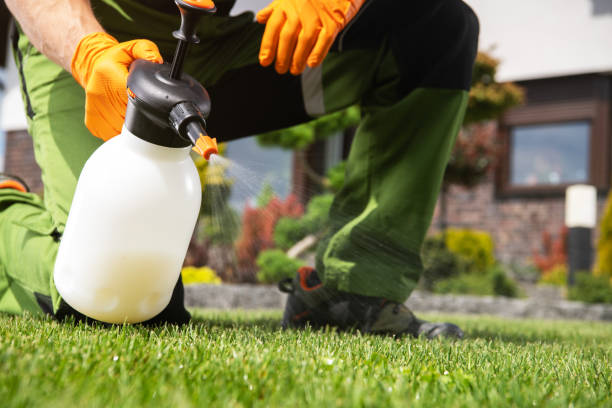Best Commercial Pest Control Services  in Belcourt, ND