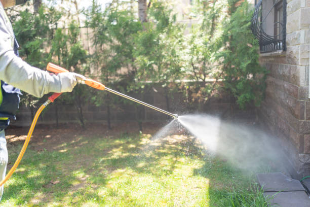 Flea Control Services in Belcourt, ND