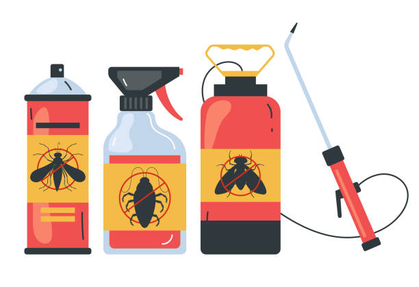 Best Affordable Pest Control Services  in Belcourt, ND