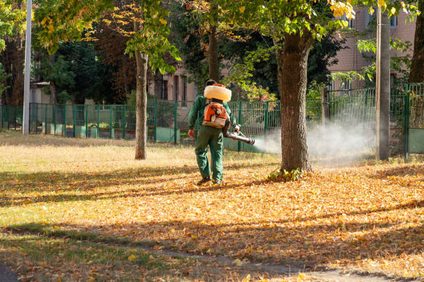 Best Residential Pest Control  in Belcourt, ND